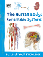 Human Body Remarkable Systems