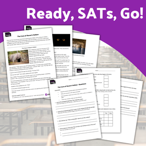 SATs blog