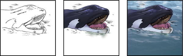 Whale process images